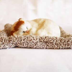 1 pcs Cute Sleeping Cat dashboard mat for car and home office table, Beautiful Decoration piece.